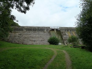 P1050779_opt