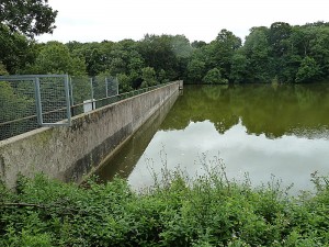 P1050781_opt